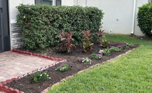 Flower Bed Installation Wesley Chapel, FL