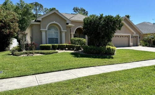 Property Maintenance in Wesley Chapel, FL