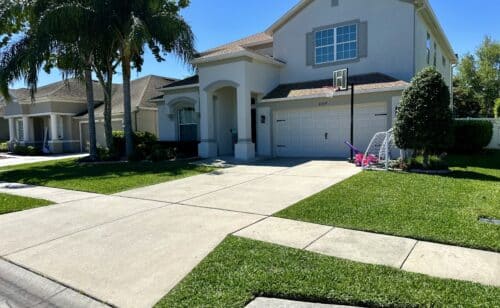 Yard Care in Wesley Chapel, FL